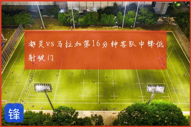 都灵vs马拉加第16分钟客队中锋低射破门