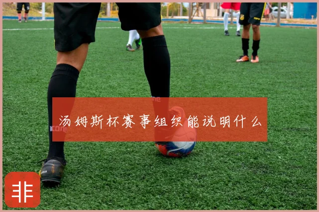 汤姆斯杯赛事组织能说明什么